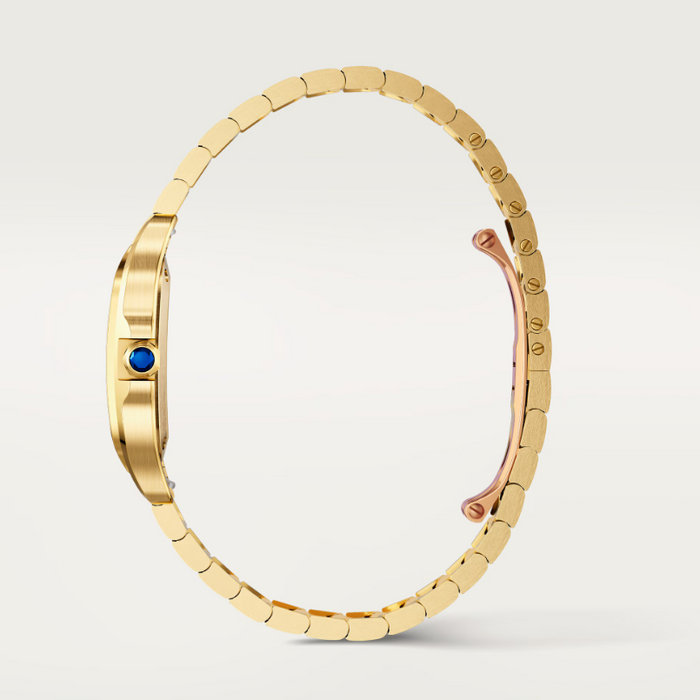 Cartier Santos De Small Watch