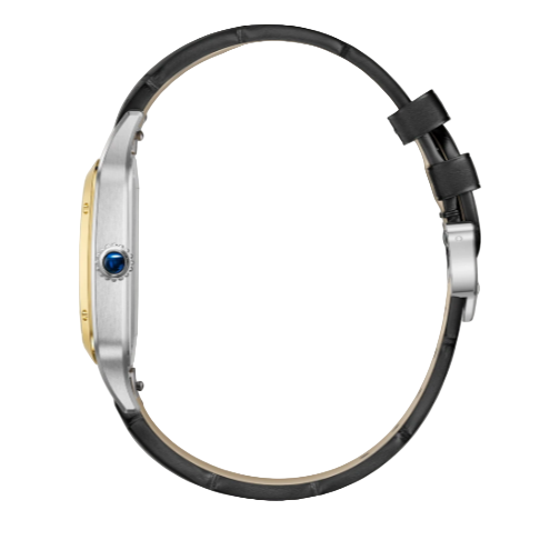 Cartier Santos-Dumont Watch Small 38mm