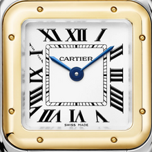 Panthere De Cartier Gold And Steel Small Women's Watch